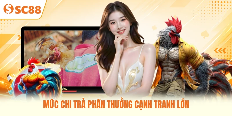 Mức chi trả phần thưởng cạnh tranh lớn