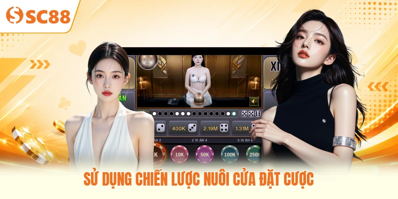 Sử dụng chiến lược nuôi cửa đặt cược
